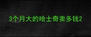 3个月大的哈士奇卖多钱