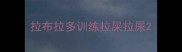 拉布拉多训练拉屎拉尿