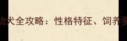 黑色拉布拉多幼犬全攻略性格特征饲养要点与成长误区