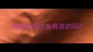 当阳拉布拉多有卖的吗