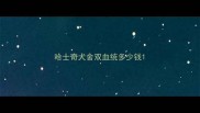 哈士奇犬舍双血统多少钱