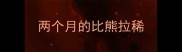 两个月的比熊拉稀