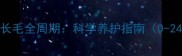 缅因猫长毛全周期科学养护指南0-24个月