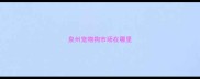 泉州宠物狗市场在哪里