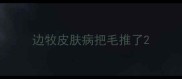 边牧皮肤病把毛推了