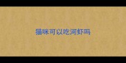 猫咪可以吃河虾吗