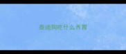 泰迪狗吃什么养胃