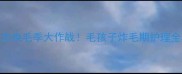 边牧一岁换毛季大作战毛孩子炸毛期护理全攻略