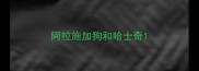 阿拉施加狗和哈士奇