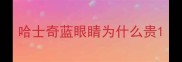 哈士奇蓝眼睛为什么贵
