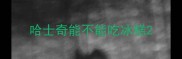 哈士奇能不能吃冰糕