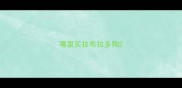 哪里买拉布拉多狗