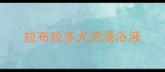 拉布拉多犬洗澡浴液