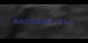 狗狗打疫苗洗澡了怎么办