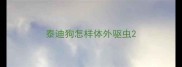 泰迪狗怎样体外驱虫