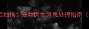小狗首次疫苗后抽搐宠物医生紧急处理指南附护理要点