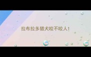 拉布拉多猎犬咬不咬人