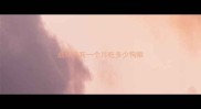 成年贵宾一个月吃多少狗粮