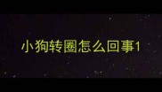 小狗转圈怎么回事