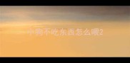 小狗不吃东西怎么喂