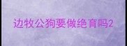 边牧公狗要做绝育吗