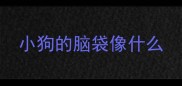 小狗的脑袋像什么