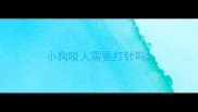 小狗咬人需要打针吗
