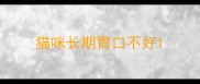 猫咪长期胃口不好