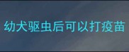 幼犬驱虫后可以打疫苗