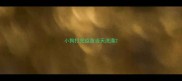 小狗打完疫苗当天洗澡