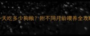 2月龄金毛幼犬一天吃多少狗粮附不同月龄喂养全攻略科学养宠必看