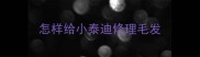 怎样给小泰迪修理毛发