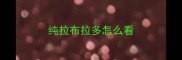 纯拉布拉多怎么看