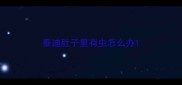 泰迪肚子里有虫怎么办