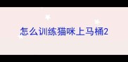怎么训练猫咪上马桶