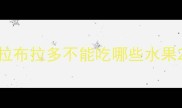 拉布拉多不能吃哪些水果