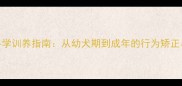 拉布拉多犬科学训养指南从幼犬期到成年的行为矫正与饲养技巧全