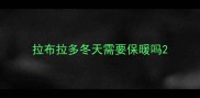 拉布拉多冬天需要保暖吗