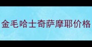 金毛哈士奇萨摩耶价格