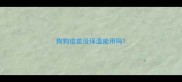 狗狗疫苗没保温能用吗