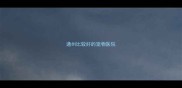 通州比较好的宠物医院