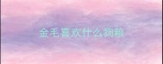 金毛喜欢什么狗粮