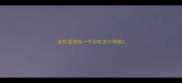 迷你雪纳瑞一个月吃多少狗粮