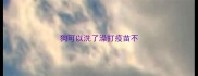 狗可以洗了澡打疫苗不