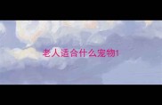 老人适合什么宠物
