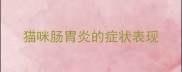 猫咪肠胃炎的症状表现