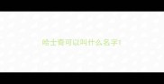 哈士奇可以叫什么名字