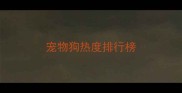 宠物狗热度排行榜