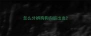 怎么分辨狗狗内脏出血