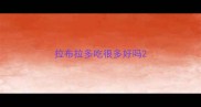 拉布拉多吃很多好吗